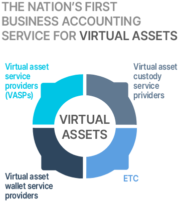 VIRTUAL ASSET